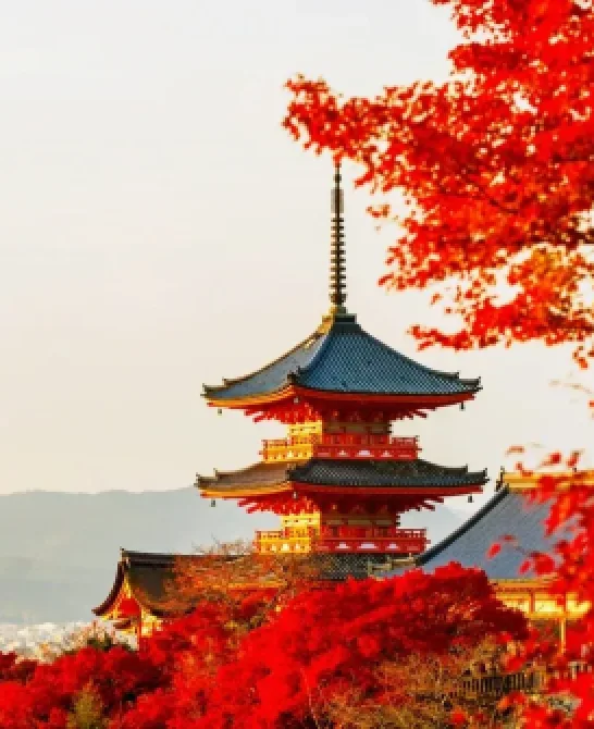 Greșeli frecvente într-un circuit în Japonia și cum le eviți (sfaturi de la experți)